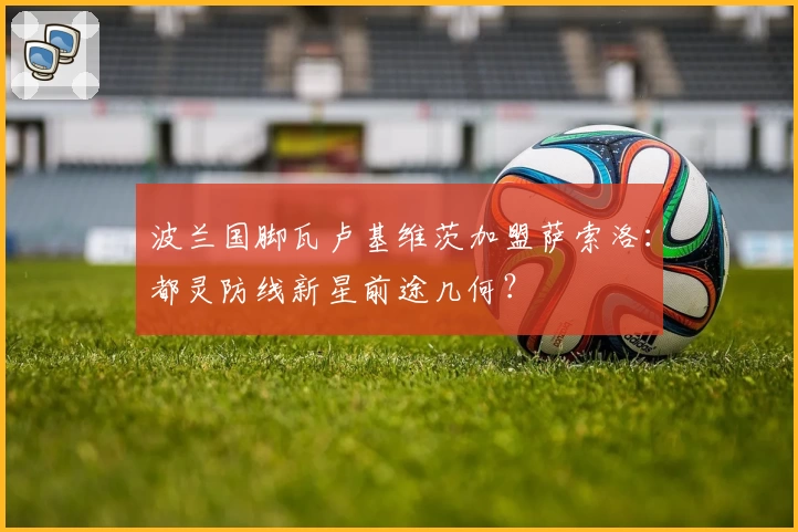 波兰国脚瓦卢基维茨加盟萨索洛:都灵防线新星前途几何?