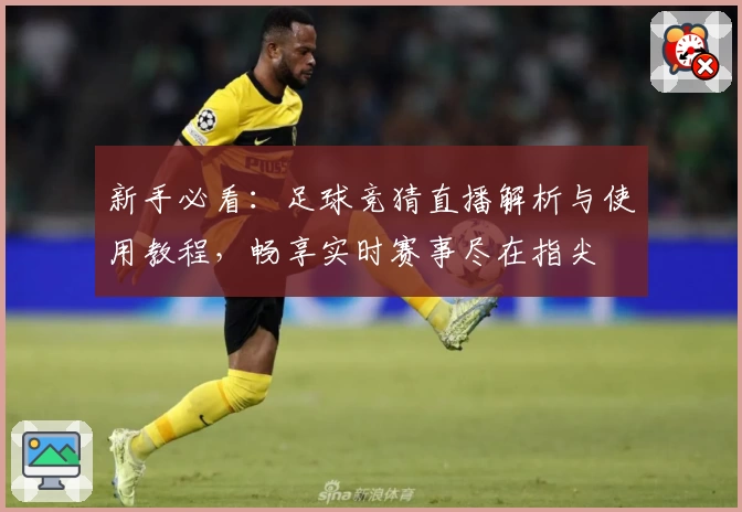 新手必看：足球竞猜直播解析与使用教程，畅享实时赛事尽在指尖