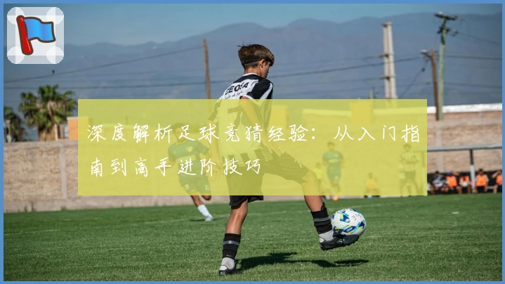 深度解析足球竞猜经验：从入门指南到高手进阶技巧