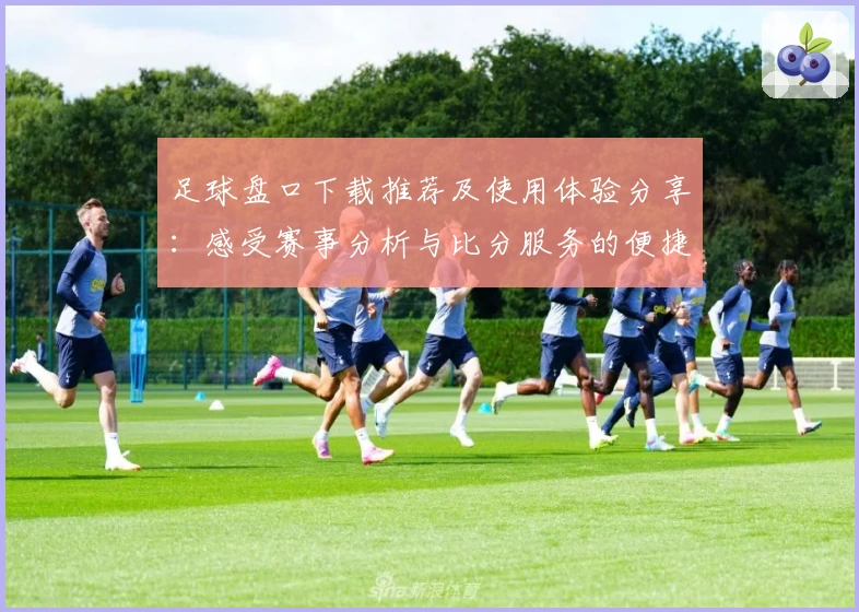 足球盘口下载推荐及使用体验分享:感受赛事分析与比分服务的便捷